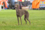 IMG_6899