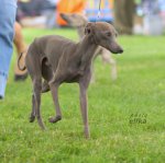 IMG_6906