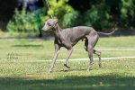 IMG_9473