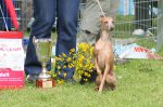 IMG_2841